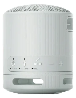 Sony Compact Wireless Bluetooth Speaker in Grey SRSXB100H