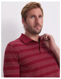 Sportscraft Pique Polo in Wine Stripe