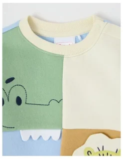 Sprout Colour Block Applique Crew Sweat Top in Assorted