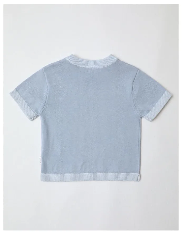 Sprout Essential Solid Knit Top in Pale Blue