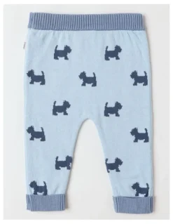 Sprout Scotty Intarsia Leggings in Windsurfer