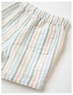 Sprout Textured Stripe Short in Multi