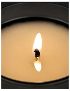 The Aromatherapy Company Tabac & Cedarwood Candle 250g