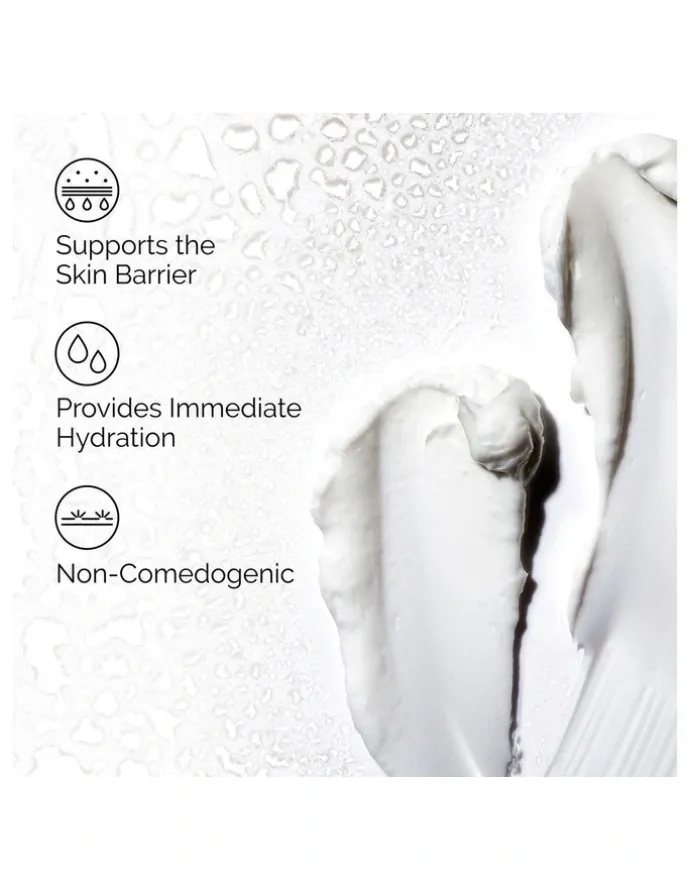 The Ordinary Natural Moisturizing Factors Hyaluronic Acid Lightweight Hydrating Moisturiser