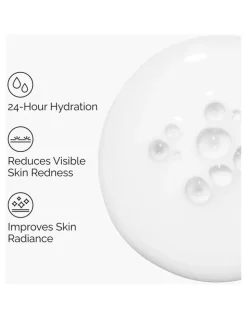The Ordinary Rice Lipids + Ectoin Microemulsion