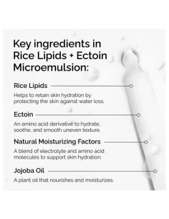 The Ordinary Rice Lipids + Ectoin Microemulsion