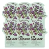 Tonymoly I Am Lavender Mask Set 5 1