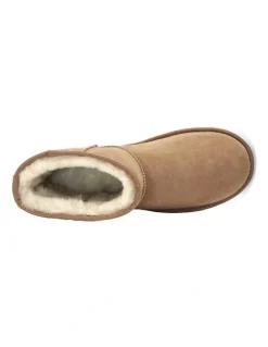 UGG Australian Shepherd Mini Classic Boots in Chestnut