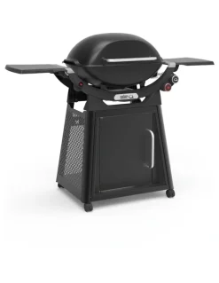 Weber Family Q+ Q3100N+ LP in Midnight Black 29710024