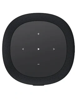 WiiM Sound Lite Smart Speaker in Black