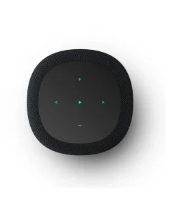 WiiM Sound Smart Speaker in Black