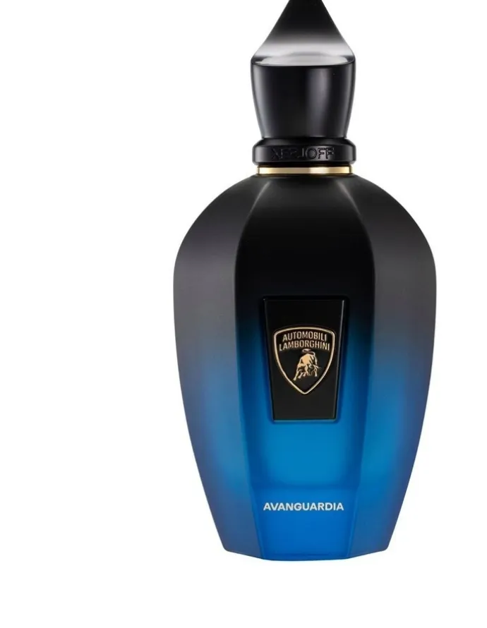 Xerjoff Avanguardia 100ml